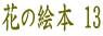 花の絵本 13