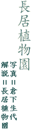 長居植物園
写真=倉下生代
解説=長居植物園