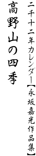 二千十二年カレンダー【永坂嘉光作品集】
高野山の四季