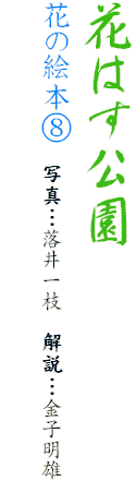 花はす公園
花の絵本G 写真…落井一枝 解説…金子明雄
